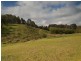 Sec 505 Sheoak Road, Hahndorf SA 5245
