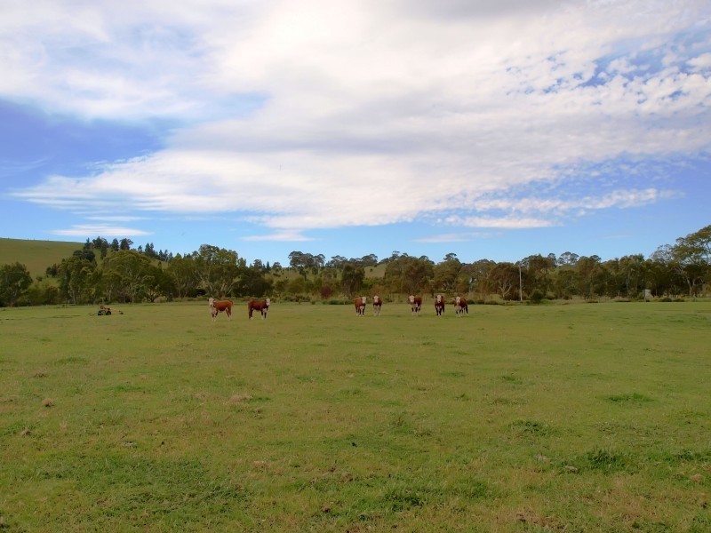 Lot 1 Military Road, Woodside SA 5244