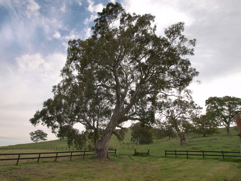 Lot 1 Military Road, Woodside SA 5244