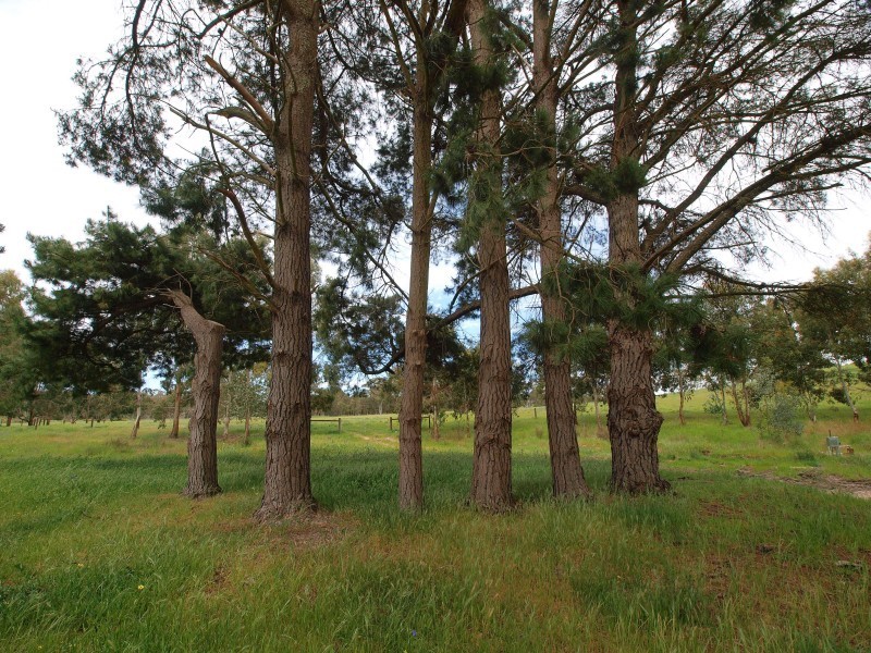 Lot 1 Military Road, Woodside SA 5244