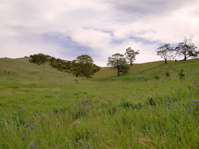 Lot 1 Military Road, Woodside SA 5244