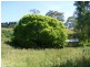 Lot 3 Schuberts Road, Lobethal SA 5241