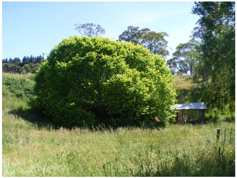 Lot 3 Schuberts Road, Lobethal SA 5241