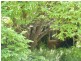 Lot 3 Schuberts Road, Lobethal SA 5241