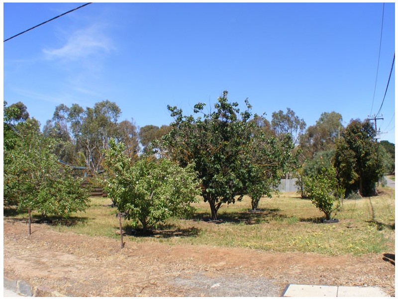 Lot 42 Cnr Atkinson Rd / Princes Hwy, Kanmantoo SA 5252