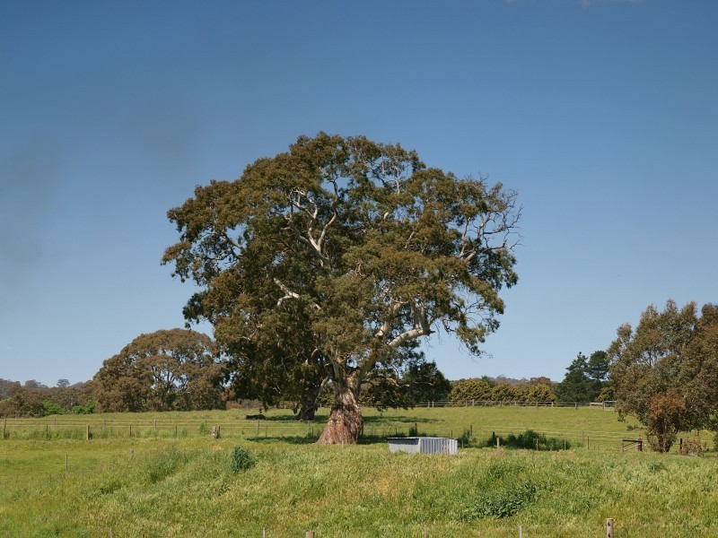 Lot 30 Riverview Road, Woodside SA 5244