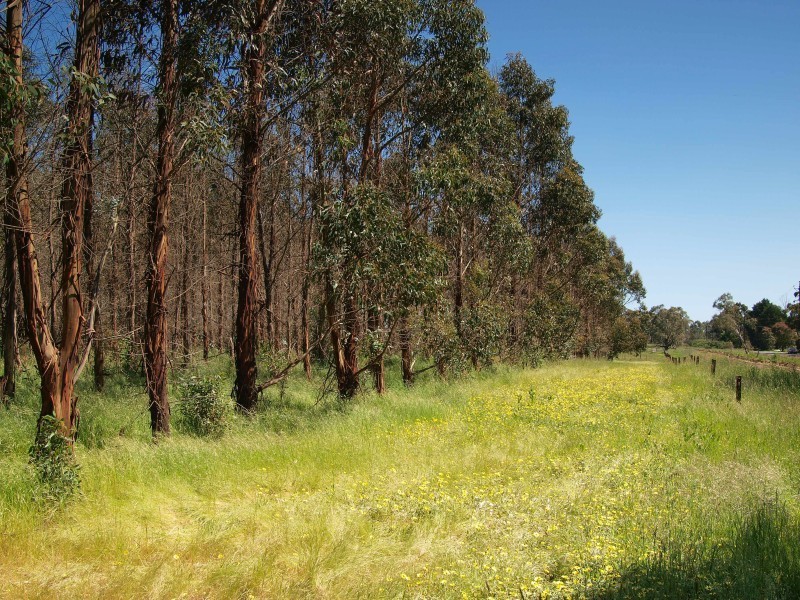 Lot 30 Riverview Road, Woodside SA 5244