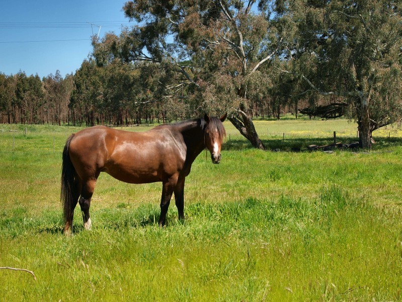 Lot 30 Riverview Road, Woodside SA 5244