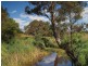 Lot 200 Shillabeer Road, Oakbank SA 5243