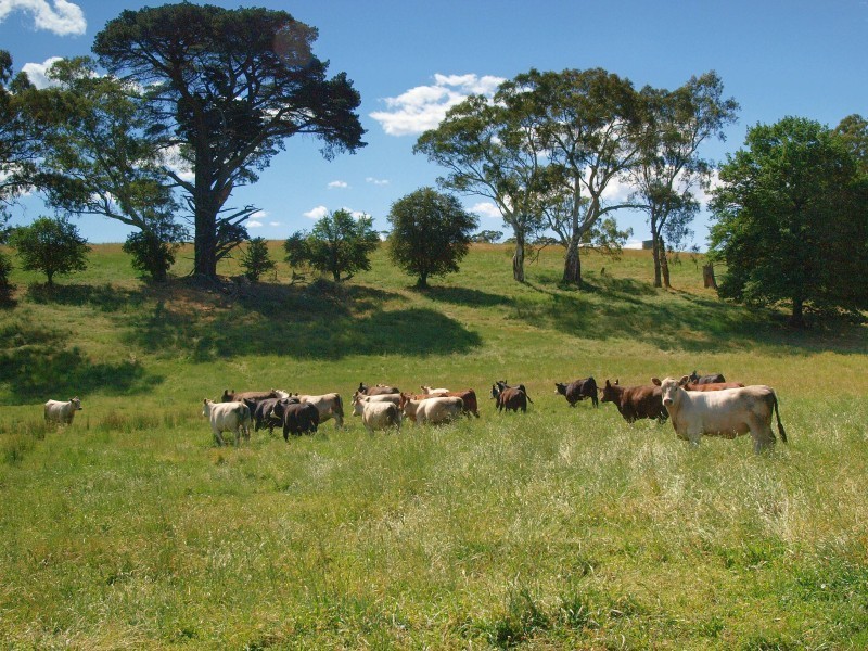 Lt 200 Shillabeer Road, Oakbank SA 5243