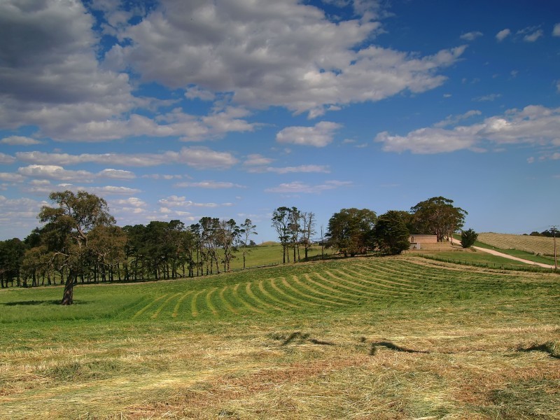 Lots 1 and 2 Military Road, Woodside SA 5244