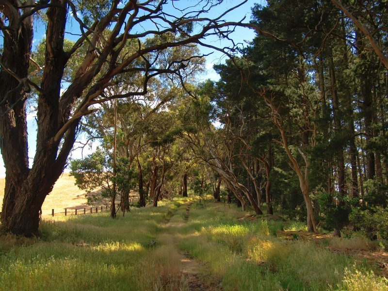 Lots 1 and 2 Military Road, Woodside SA 5244