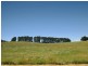 Lots 1 and 2 Military Road, Woodside SA 5244