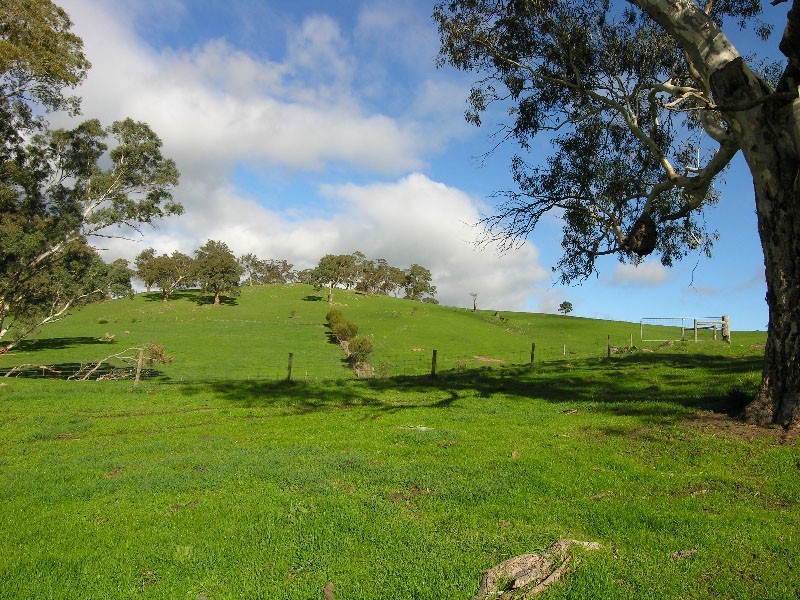 Sec 180 Cyanide Road, Mount Torrens SA 5244
