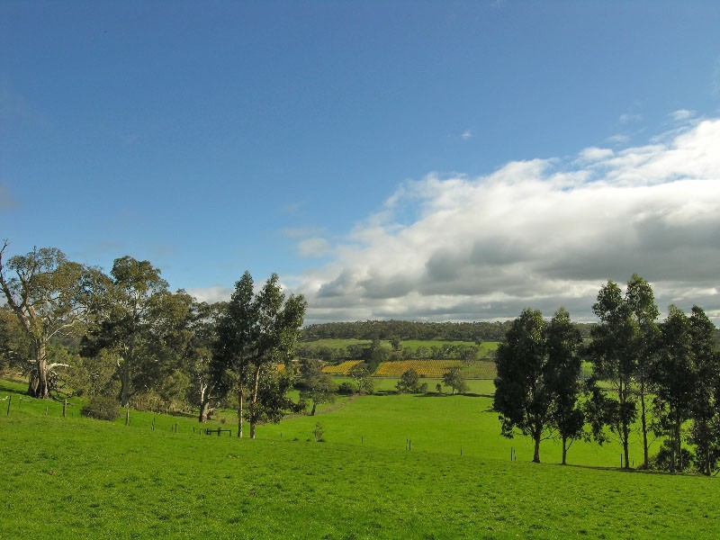 Sec 180 Cyanide Road, Mount Torrens SA 5244
