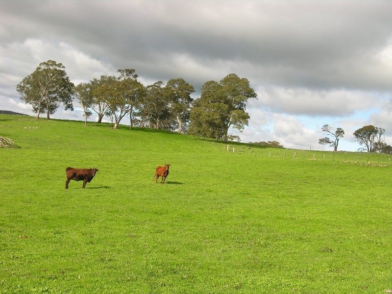 Sec 180 Cyanide Road, Mount Torrens SA 5244