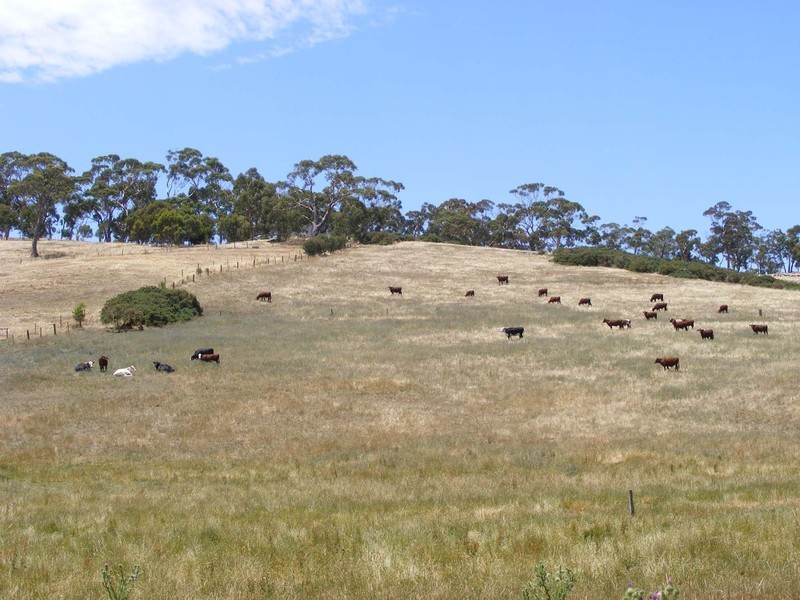 Lot 5 Mattner Road, Balhannah SA 5242