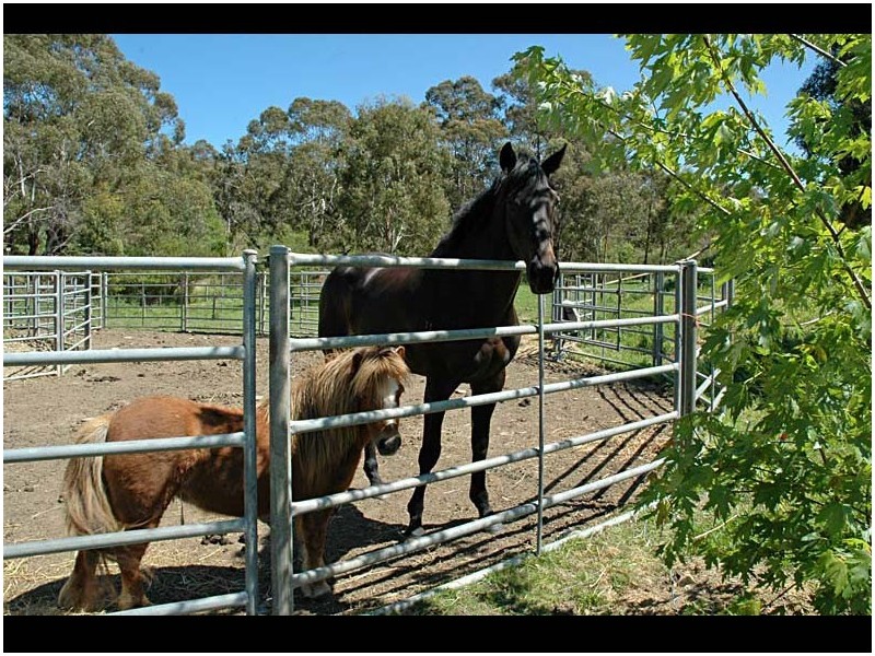 Lot 71 Greenhill Road, Balhannah SA 5242