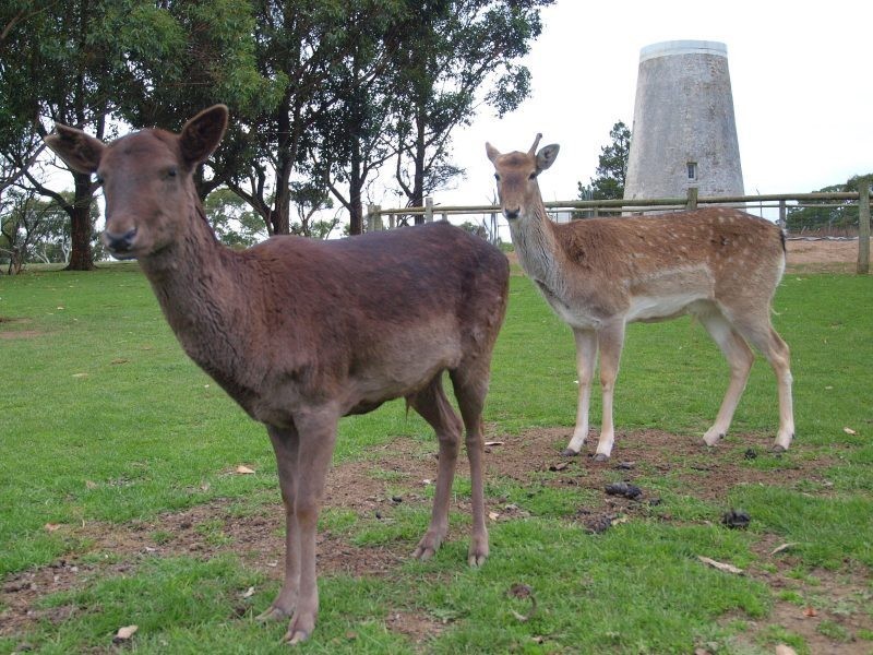 Lot 100 Mount Barker Road, Hahndorf SA 5245