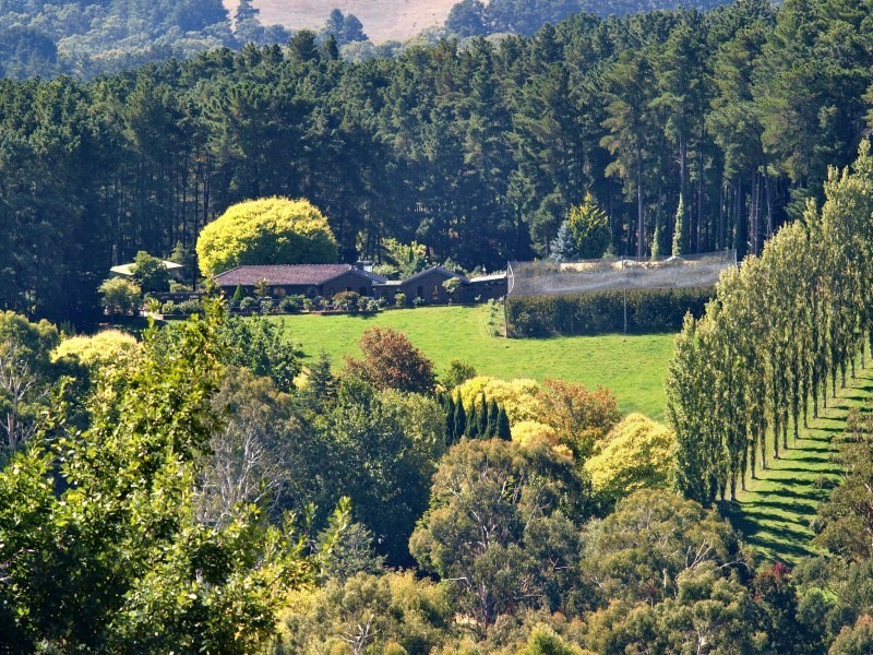 Lt 44 Ranns Rd, Carey Gully SA 5144