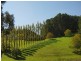 Lt 44 Ranns Rd, Carey Gully SA 5144