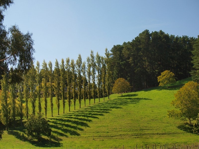 Lt 44 Ranns Rd, Carey Gully SA 5144