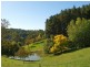 Lt 44 Ranns Rd, Carey Gully SA 5144