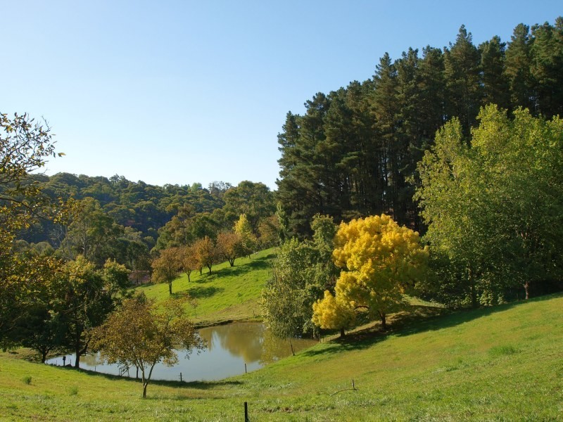 Lt 44 Ranns Rd, Carey Gully SA 5144