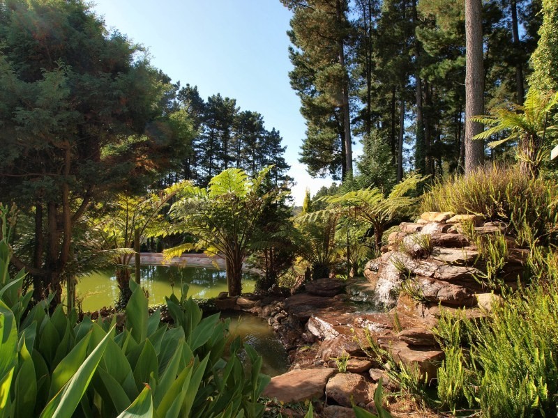 Lt 44 Ranns Rd, Carey Gully SA 5144