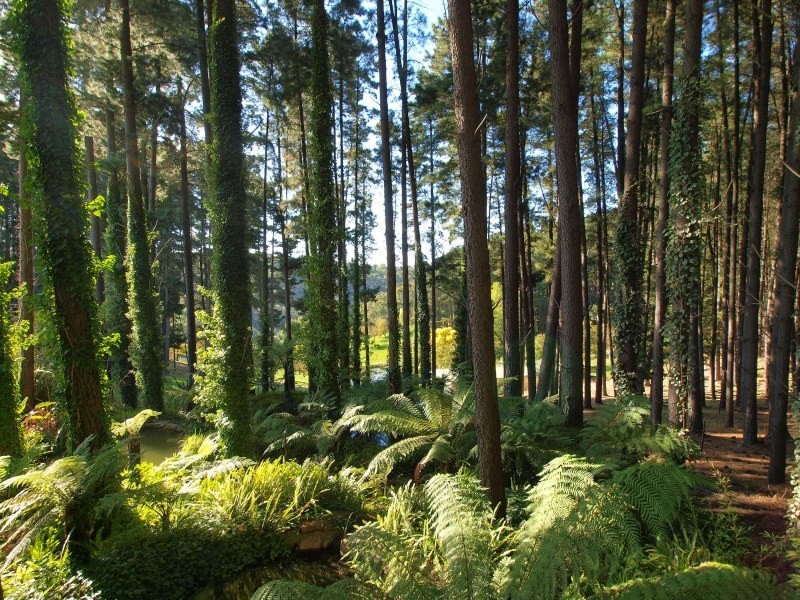 Lt 44 Ranns Rd, Carey Gully SA 5144