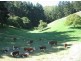 Lt 44 Ranns Rd, Carey Gully SA 5144