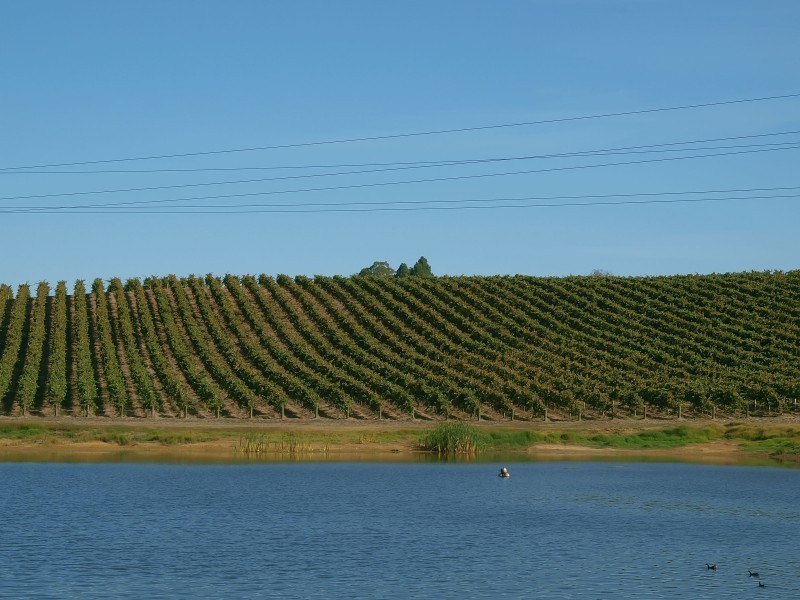 Lot 91 Jones Road, Balhannah SA 5242