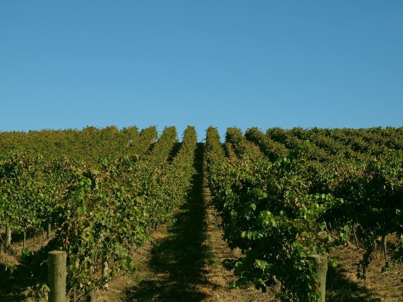 Lot 91 Jones Road, Balhannah SA 5242