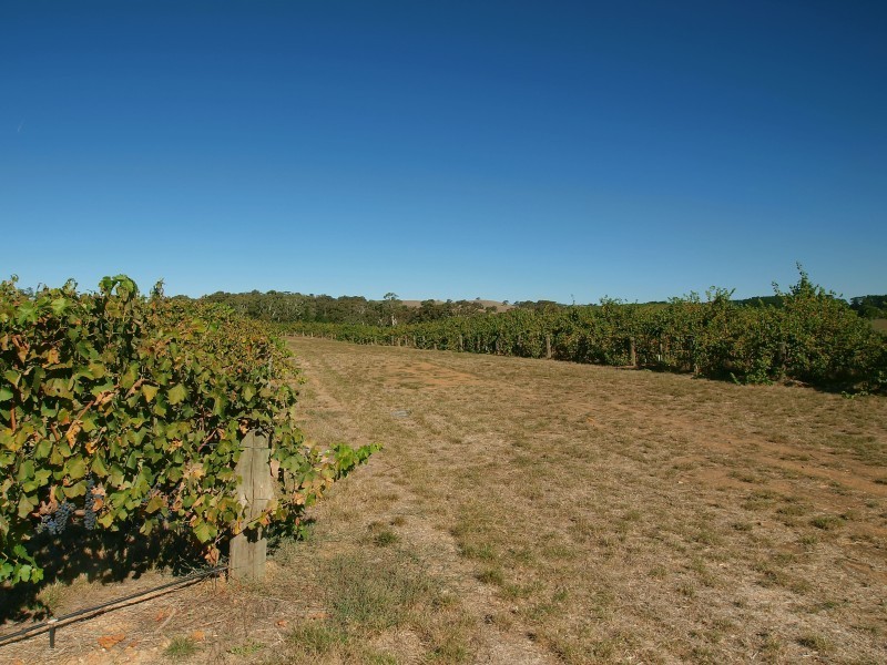 Lot 91 Jones Road, Balhannah SA 5242