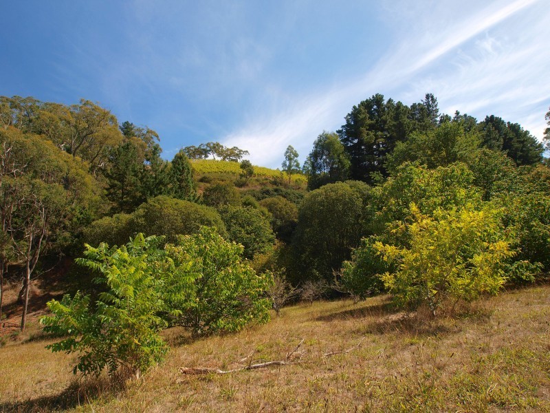 Lot 98 Mawson Road, Forest Range SA 5139