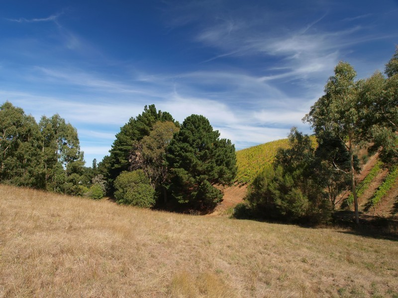 Lot 98 Mawson Road, Forest Range SA 5139