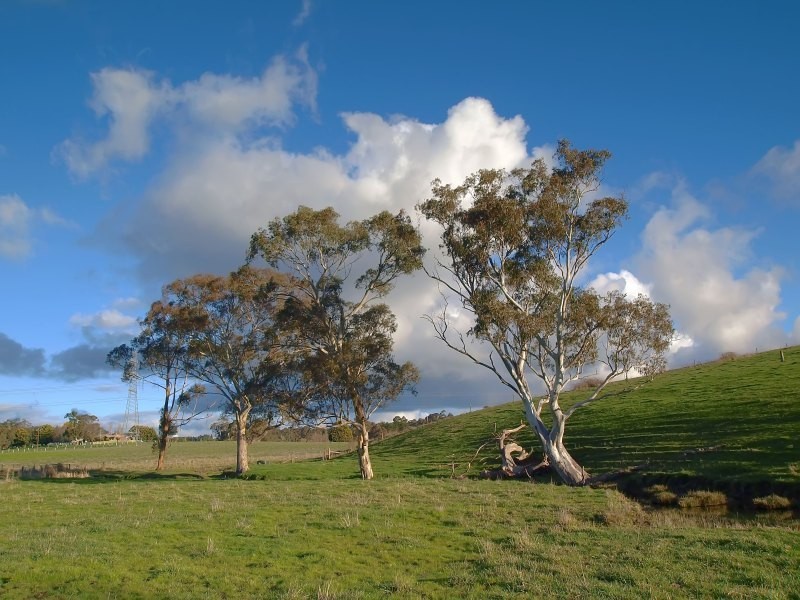 Lots 4 and 5 Mylor/Echunga Rd (Biggs Flat), Mylor SA 5153