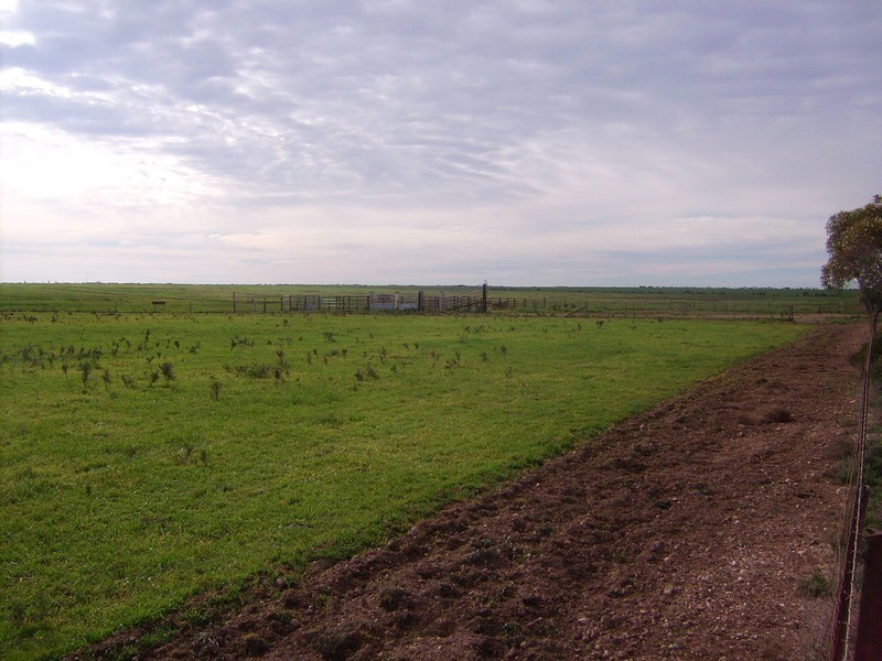 Sections # Bird Island Road, Wallaroo SA 5556