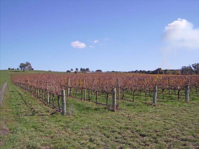 Lot 3 Jungfer Road, Charleston SA 5244