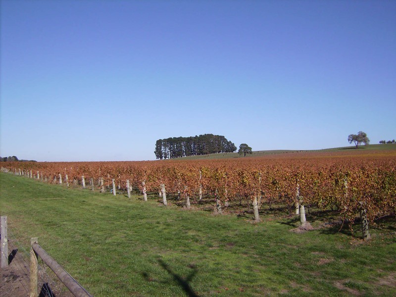 Lot 3 Jungfer Road, Charleston SA 5244