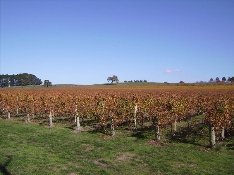 Lot 3 Jungfer Road, Charleston SA 5244