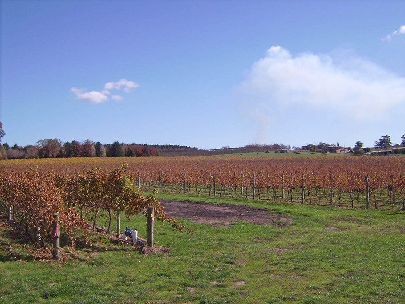 Lot 3 Jungfer Road, Charleston SA 5244