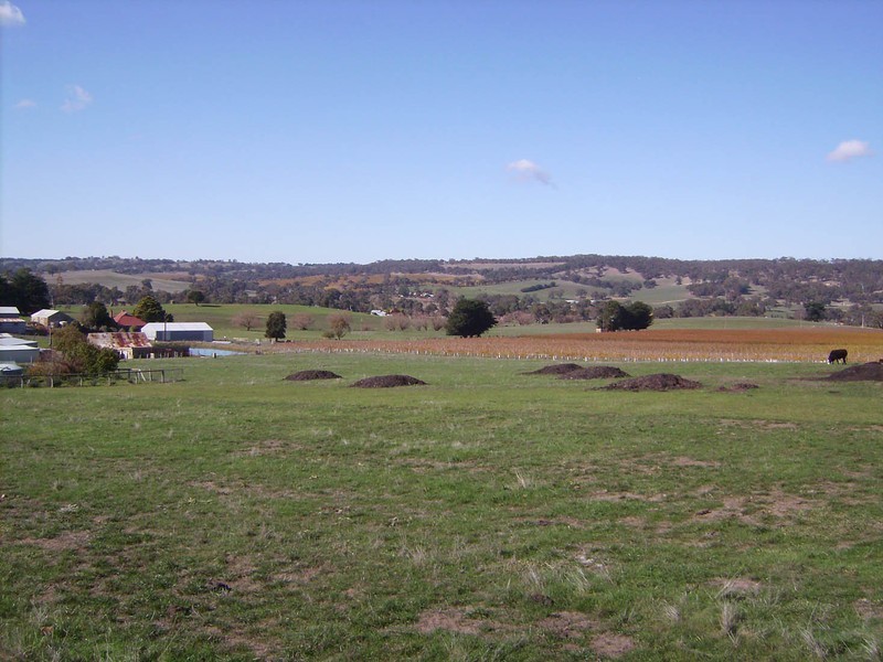 Lot 3 Jungfer Road, Charleston SA 5244