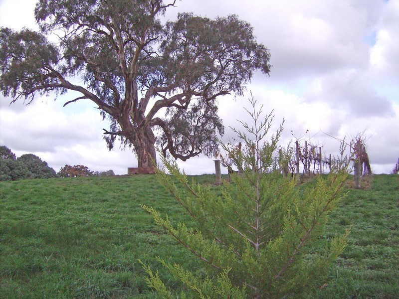 Lt 42 Pike Street, Oakbank SA 5243