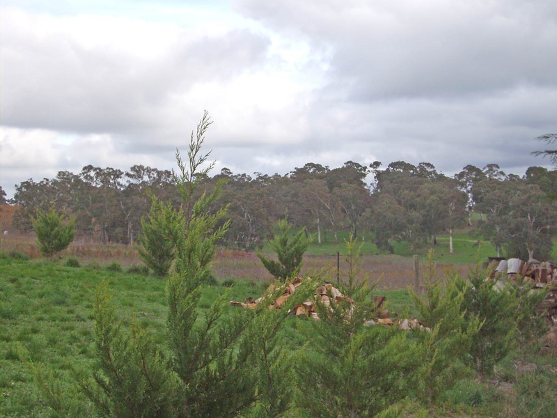 Lt 42 Pike Street, Oakbank SA 5243