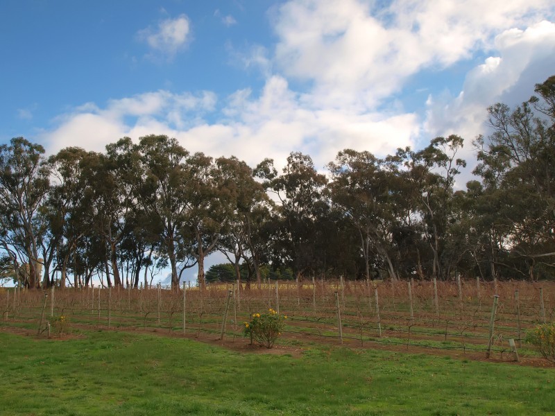 Lot 6 Military Road, Woodside SA 5244