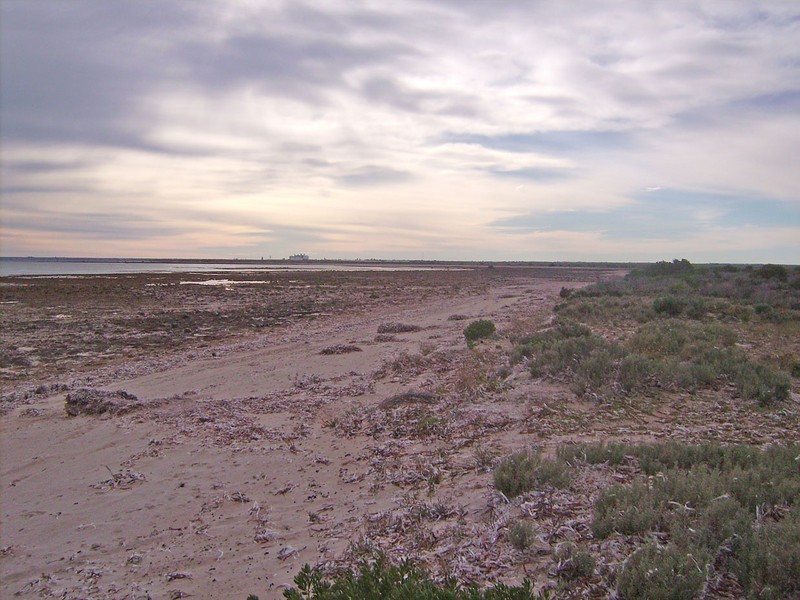 311,312,315 Bird Island Road, Wallaroo SA 5556