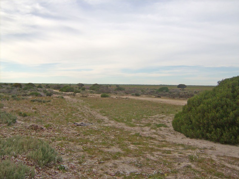 311,312,315 Bird Island Road, Wallaroo SA 5556