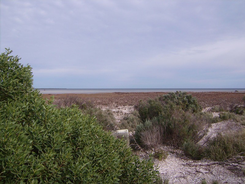 311,312,315 Bird Island Road, Wallaroo SA 5556