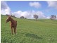 Lot 5 Mattner Road, Balhannah SA 5242